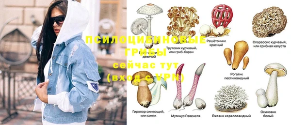 MDMA Premium VHQ Белокуриха