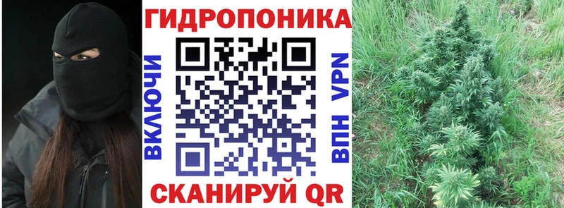 МЕГА вход  Кушва  Бошки марихуана White Widow 
